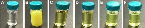 Figure 2 Photographs of QCT-loaded mixed polymeric micelles. A: Millipore water, B: 10 mg pure QCT in 3 mL of Millipore water, C: formulation A16 immediately after centrifugation and filtration through 0.2 µm membrane filter, D: formulation A22 immediately after centrifugation and filtration through 0.2 µm membrane filter, E: lyophilized formulation of A16 suspended in 3 mL of Millipore water, and F: lyophilized formulation of A22 suspended in 3 mL of Millipore water.Abbreviation: QCT, quercetin.