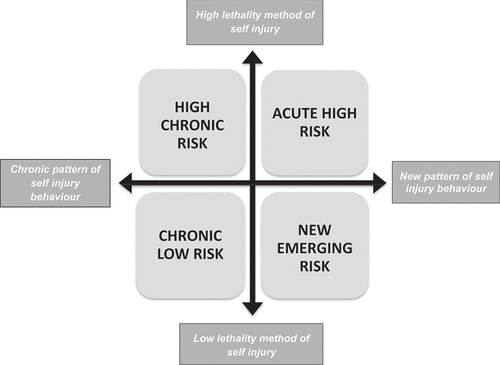Figure 1. Matrix guide to assist clinicians in formulating self-injury risk in BPD (based on NHMRC, 2013).