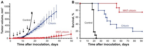 Figure 7 Photodynamic therapy with chlorin e6 conjugated with DTox-HMP-NLS-EGF MNT inhibits A431 human epidermoid carcinoma growth and enhances survival of tumor-bearing Balb/c ByJIco-nu/nu mice compared with free chlorin e6. (A) A431 tumor growth, mean ± SEM; average tumor volumes are shown up to the last day when all animals were alive. (B) Kaplan-Meier survival curve.Notes: Arrows indicate injection and illumination cycles; bars represent the mean ± SEM.Abbreviations: MNT, modular nanotransporter; DTox, translocation domain of diphtheria toxin; HMP, Escherichia coli hemoglobin-like protein; NLS, nuclear localization sequence; EGF, epidermal growth factor; SEM, standard error of mean.