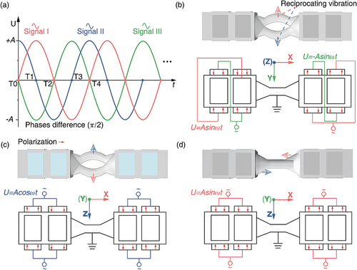 Figure 5. Schematic of exciting signals and desired working modes. (a) The exciting signals for two-DOF driving. (b) The electrical wiring diagram of B5Y mode, (c) B5Z mode, and (d) L2X mode.