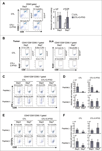 Figure 5. NO Scavenger C-PTIO restores CTL function. (A) Mice were treated as described in the legend to Fig. 4. TILs were harvested from tumors on days 3 or 7. CTLs in the tumor were analyzed by flow cytometry (left). The absolute number of CTLs was calculated (right). (B) BrdU incorporation by CTLs in the tumor and draining lymph node (DLN) on days 3 and 7 was analyzed by flow cytometry as described in the Materials and Methods section. (C) IFNγ production by CTLs on days 3 and 7 with or without 1 μg/mL hgp100 peptide. (D) The absolute number of IFNγ+ CTLs is shown. (E) CD107a expression on CTLs on days 3 and 7 with or without 1 μg/mL hgp100 peptide. (F) The absolute number of CD107a+ CTLs is shown.
