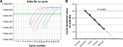 Figure S3 Quantification of miR-26a loaded in exosome.Notes: (A) qRT-PCR analysis of series diluted miR-26a. (B) The generated standard curve corresponds to (A).Abbreviation: qRT-PCR, quantitative reverse transcription polymerase chain reaction; Rn, normalized reporter.