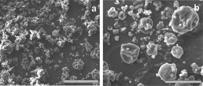 FIG. 5 SEM micrographs of the microcapsules containing L. acidophilus NCIMB 701748 produced under the optimized spray-drying conditions: (a) scale bar 50 µm and (b) scale bar 20 µm.