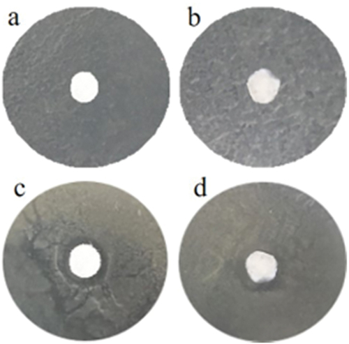 Figure 9. Antibacterial test results.