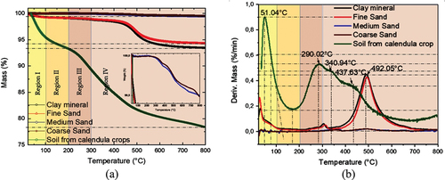 Figure 4. Thermogravimetric Analysis. (a) Thermograms, (b) Differential thermal gravimetric analysis, the insert in (a) represents an increase in mass loss scale.