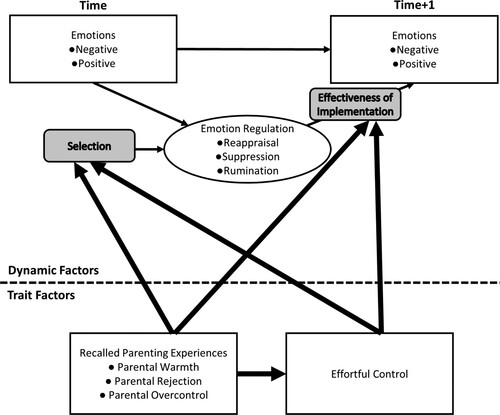 Figure 1. Conceptual model regarding roles of recalled parenting experiences and effortful control in adult daily selection and implementation of emotion regulation.