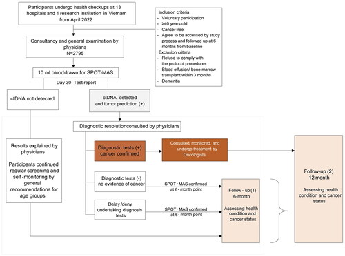 Figure 1. Overall flow chart of study subject selection and follow-up of K-DETEK. K-DETEK is a multi-center, prospective cohort study recruiting participants aged 40 or older who present at the Outpatient Clinic of one of the 13 hospitals and research institutes in five regions in Vietnam for periodic follow-up visits for their chronic conditions or for annual health check-ups beginning in April 2022. The estimated number of participants to be enrolled in the study is 3000. The inclusion criteria include: (i) 40 years of age or older, (ii) have neither clinical suspicion of cancer nor history of confirmed cancer, (iii) agree to be contacted at 6 months and 12 months following enrollment to collect information about general health status and progress of cancer, (iv) have no history of blood transfusion or bone marrow transplantation within the past 3 years, and (v) have no clinical manifestation of dementia. Eligible participants provided 10 ml of blood for analyzing cfDNA by SPOT-MAS assay. After 30 days, each participant received the results of either “ctDNA signal detected” or “ctDNA signal not detected.” The study participants were scheduled for follow-up visits at 6 and 12 months. This study reported interim results of 2795 participants 6 months from study initiation.
