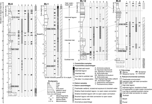 Figure 3  Stratigraphy and palaeoenvironmental interpretations of cores from the Big Lagoon complex (see Fig. 2 for the core locations). The first column for each core shows the grain size and presence of wood or shells along with the locations of radiocarbon ages. Columns 1–6 refer to different palaeoenvironmental data (see legends for further information); note not all cores have the same data available. In the middle of the figure the generalised palaeoenvironmental interpretation is shown; light grey dashed lines indicate correlations between the cores. Table 1 provides radiocarbon sample details.