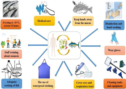Figure 2. A schematic representation of possible methods and ways for control and prevention of zoonotic diseases.
