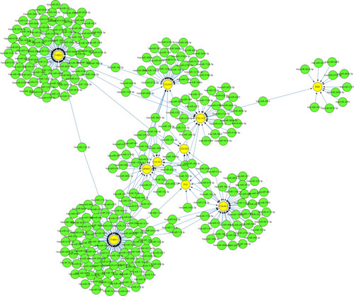 Figure 12 The interaction network between hub genes and target miRNAs. Hub genes are presented in yellow circles, whereas target miRNAs are shown in green circles. The interaction between hub genes and their related miRNAs is shown in the form of arrows.