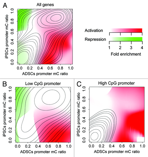 Figure 3. Differential methylation accompanied by differential expression in ADSCs and iPSCs. The distributions of activated and repressed genes are presented as enrichment relative to the background distribution of all genes. (A) All genes are plotted. Hypomethylation and hypermethylation were correlated with activation and repression, respectively. (B) Low-CpG promoters are plotted. Low-CpG promoters are responsible for the correlation of hypomethylation with activation and hypermethylation with repression. (C) High-CpG promoters are plotted. High-CpG promoters do not contribute to the correlation of hypermethylation with repression.