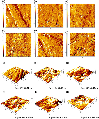 Figure 6. AFM images and surface roughness of uncoated paperboard (a,g), coated paperboards with unmodified BLN (b,h) and BLN modified with HD-3 (c,i), HD-4 (d,j), PO-3 (e, k), and PO-4 (f, l).