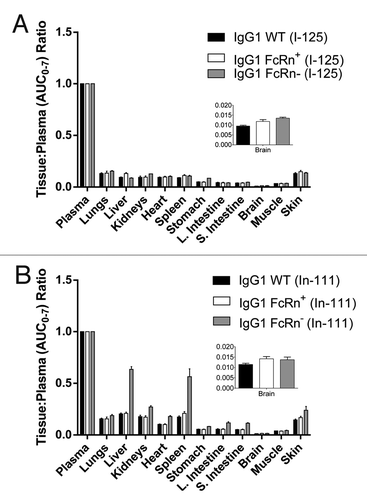 Figure 3. Ratios of tissue AUC0–7 to plasma AUC0–7 of the IgG1 WT, FcRn+, and FcRn- variants radiolabeled with (A) iodine-125 and (B) indium-111. The abbreviation AUC0–7 denotes the area under the concentration-time curve from 0 to 7 d. Note that AUC values for indium-111-labeled antibodies do not reflect true exposure of intact antibody since indium-111 is a residualizing radiometal label (Fig. 4).