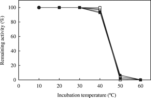 Fig. 6. Thermostability of wild-type and mutated AvICLs.Note: The thermostabilities of ICL activities were assayed at 20 °C after incubation at the indicated temperatures for 10 min and further incubated on ice for 10 min. The remaining activities are expressed as percentages of ICL activity without incubation. Symbols are the same as in Fig. 4.