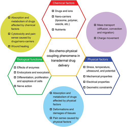 Figure 6. Bio-chemo-physical coupling phenomena in TDD.