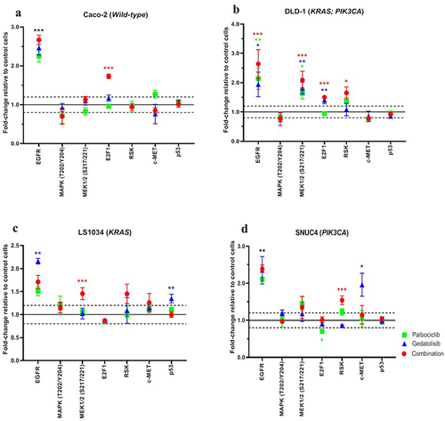 Figure 5. RPPA analysis displaying the levels of protein expression or phosphorylation of EGFR and MAPK signaling pathway proteins in (A) Caco −2, (B) DLD − 1, (C) LS1034 and (D) SNUC4 cell lines following 4 hours treatment with Palbociclib, Gedatolisib and their combination. Error bars are representative of independent triplicate experiments. Fold changes shown have been normalized relative to the vehicle treated control cells. All p-values were generated by the Kruskal Wallis test. *p < .05, **p < .002, ***p < .001.