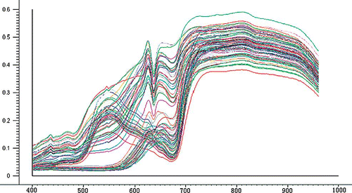 Figure 4 Original spectra of samples before wavelet transform.