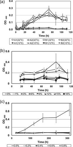 Figure 5. Growth curves of Staphylococcus gallinarum isolates in koji extract cultured at different temperatures, alcohol concentrations and lactic acid concentrations.Notes: (a) Growth curves of S. gallinarum isolates cultured in koji extract medium at 12 °C and 32 °C, respectively. Strains A1 and A2 were obtained from brewery A, and strains B1 and B2 were obtained from brewery B. All data are presented as means of three replicate tubes, and standard deviations are shown as error bars. (b) Growth curves of S. gallinarum strain A2 cultured in koji extract medium containing various ethanol concentrations (0–18%, v/v). All data are presented as means of three replicate tubes, and standard deviations are shown as error bars. (c) Growth curves of S. gallinarum strain A2 cultured in koji extract medium containing various lactic acid concentrations (0–0.8%, w/v). All data are presented as means of three replicate tubes, and standard deviations are shown as error bars. OD: optical density.