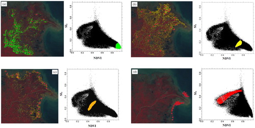 Figure 3. Different soil salinization contents in image and NDVI-SI1 feature space: (a) non salinization; (b) slight salinization; (c) moderate salinization; (d) severe salinization.