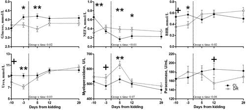 Figure 4. Patterns of plasma concentration of glucose, nonesterified fatty acids (NEFA), beta-hydroxybutyrate (BHB), urea, myeloperoxidase, and paraoxonase in dairy goats milked continuously until kidding (CL) or dried off at –56 days from kidding (DR). Differences at each time point are denoted with different symbols for the group x time interaction (** is p < 0.01, * is p < 0.05, and + is p < 0.1).