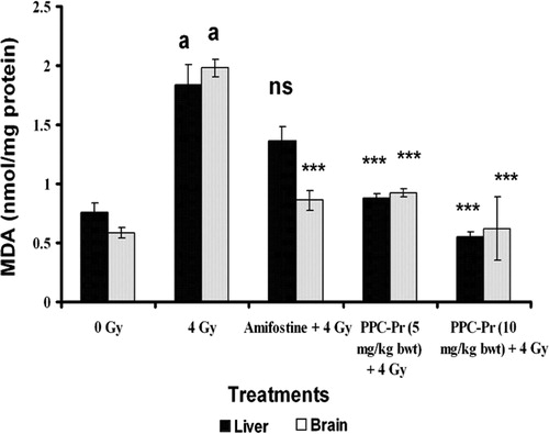 Figure 4. Effect of administration of PPC-Pr on tissue MDA levels of irradiated mice. Values are mean ± SD, n = 6, ***P < 0.001; ns, non significant compared to irradiated control; a, denotes P < 0.001 compared to normal (Bonferroni test).