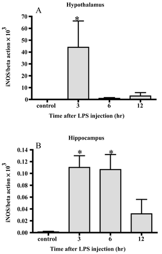 Figure 4 Changes in iNOS mRNA. iNOS mRNA markedly increased 3 hrs after LPS injection in the hypothalamus (A) In the hippocampus, the level of iNOS mRNA increased 3 and 6 hrs after LPS injection (B) Data represent the mean ± SE. (n = 4–6, *:p < 0.05).