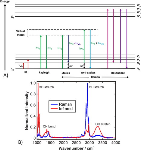 Figure 1. (A) Jablonski energy diagram showing the transitions involved during infrared absorption, Rayleigh, Raman Stokes, anti-Stokes and Resonance Raman scattering. The vibrational states (Vn) of a molecule in the ground electronic state (S0) can be probed either by directly measuring the absolute frequency (IR absorption) or the relative frequency or Raman shift (Stokes and anti-Stokes) of the allowed transitions. Resonance Raman also involves the vibrational states (V’n) of the excited electronic state (S1). Hν0 = incident laser energy, hνvib = vibrational energy, Δν = Raman shift and νvib = vibrational frequencies. (B) Raman and IR spectra of liquid ethanol. Reprinted from open access publication under CC BY license.[Citation27,Citation28]