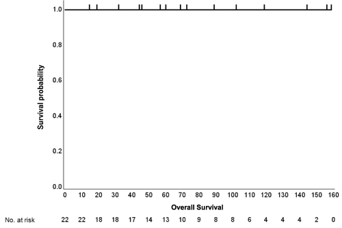 Figure 2 Kaplan–Meier curve of overall survival (OS) in patients with conjunctival MALT lymphoma. Ten-year OS was 100%.