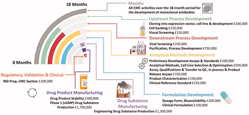 Figure 4. CMC activities over an 18-month period for the development of monoclonal antibodies Analytical Methods Development is carried almost throughout the 10 months while upstream process development leads to downstream process development with some important overlap. Formulation development and drug manufacturability become a very important consideration early on, the details of individual steps are entailed in Table 1 (Created with Biorender.com).