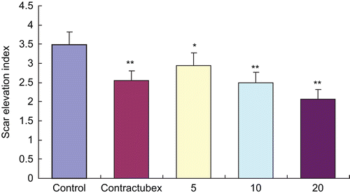 Figure 3.  Effects of essential oil (EO) on scar elevation index (SEI). The degree of scar hypertrophy is reflected by SEI, which represents the ratio of total scar connective tissue area to the area of underlying dermis. After treatment with EO for 22 days, hypertrophic scarring was alleviated in a dose-dependent manner. *P < 0.05.**P < 0.01 versus the control group. Data are expressed as the mean ± SD. n = 12.