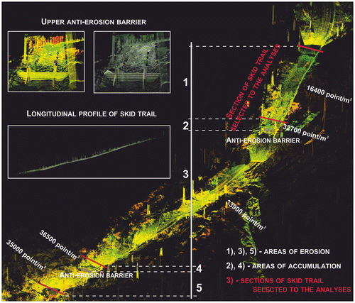 Figure 8. Profile of skid trail on research area, density of the point cloud from TLS.