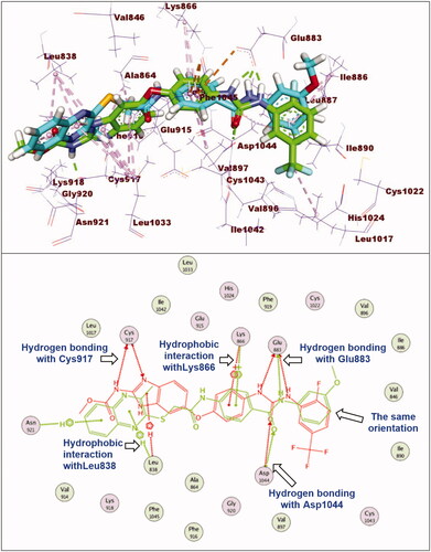 Figure 8. Superimposition of compound 12e and sorafenib inside the active sites of VEGFR-2. Compound 12e showed binding mode similar to that of sorafenib with lack of hydrogen bonding interaction with Cys917 at hinge region.