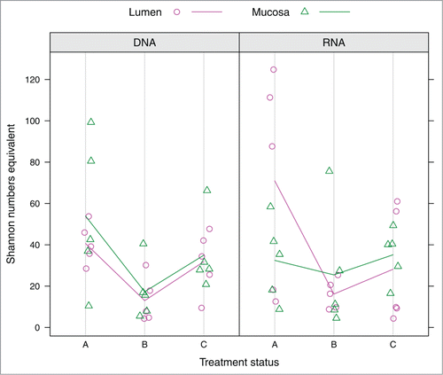 Figure 3. Distribution of Shannon numbers equivalent values at DNA and RNA level depending on factors “Compartment” and “Treatment status.” Colored guiding lines mark the mean values for factor levels of “Compartment” at the respective treatment status: (A) before antibiotic treatment (day 0); (B) immediately after cessation of antibiotic treatment (day 4); (C) 6 weeks after cessation of antibiotic treatment (day 46).