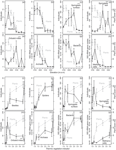 Figure 1. Abundance of animal and microbial group compared to vascular plant abundance along the (a–h) elevational and (i–p) thermic vegetation indicator gradient. (a,i) Beetles, (b,j) spiders, (c,k) springtails from pitfall traps, (d,l) springtails from soil samples, (e,m) oribatid mites, (f,n) archaea, (g,o) bacteria, and (h,p) Methanocella. Values are means ± standard error of raw data. Vascular plant abundance (percent cover) is illustrated in each subplot in grey. Significant deviations of the abundance patterns of animal and microbial groups from that of vascular plants are indicated with asterisks (significance levels: *p < 0.05, **p < 0.01, ***p < 0.001; generalized linear models with a quasi-Poisson distribution and penalized quasi-likelihood mixed models with a Poisson distribution; Table 2)