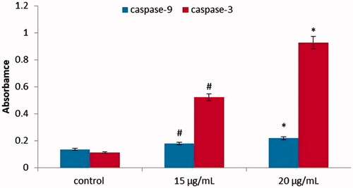 Figure 8. Caspase-3, Caspase-9 activity in KMCH-1 cells. This experiment was repeated thrice and the bars in the graph represent S.E. (*p < .05, #p < .01).