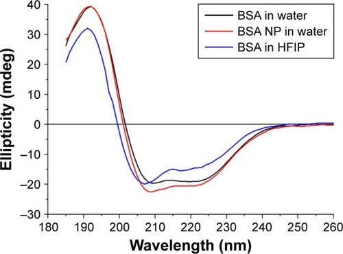 Figure 4 CD spectra of BSA and BSA NP in water, BSA solution in HFIP.Note: The spectra were normalized to protein concentration 0.25 mg/mL.Abbreviations: CD, circular dichroism; BSA, bovine serum albumin; NP, nanoparticles; HFIP, 1,1,1,3,3,3-hexafluoroisopropanol.