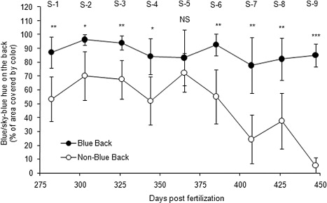 Figure 1. Mean values of blue/sky-blue hue on the back skin of the BB and the NBB individuals of rainbow trout during juvenile development.Note: *P < 0.05; **P < 0.01; ***P < 0.001. Error bars, 95% confidence intervals. Closed circles, BB juveniles; Open circles, NBB juveniles; NS, not significant; S, stage.