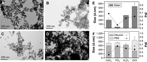 Figure S1 TEM images of uncoated CeO2, TiO2, Al2O3, and ZnO Nps in water (A–D). DLS measurements of the four Nps in water (E) and in PBS pH 7.4 or with albumin at 400 μg/mL prepared in PBS (F).Notes: The diameter of the Np aggregates, determined by intensity distribution, and the PdI are represented. Standard deviation is shown in error bars (n=4). Reprinted from Colloids Surf B Biointerfaces, 113, Simón-Vázquez R, Lozano-Fernández T, Peleteiro-Olmedo M, González-Fernández Á, Conformational changes in human plasma proteins induced by metal oxide nanoparticles, 198–206, Copyright 2016, with permission from Elsevier.Citation1Abbreviations: DLS, dynamic light scattering; Nps, nanoparticles; PBS, phosphate-buffered saline; PdI, polydispersity index; TEM, transmission electron microscopy.