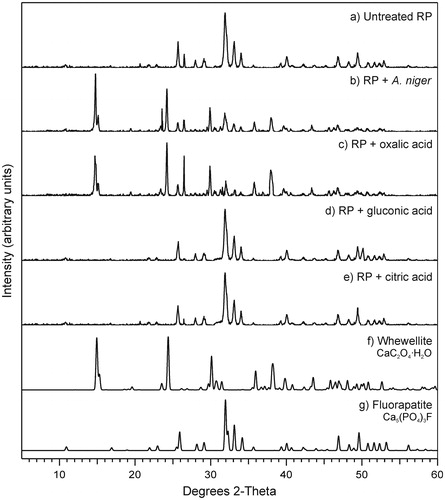 Figure 3. X-ray diffraction patterns of (a) untreated rock phosphate (RP) and RP incubated with (b) Aspergillus niger or with (c) oxalic, (d) gluconic or (e) citric acid at 0.5 mol/l. Standard patterns of (f) whewellite (ICSD 434201) and (g) fluorapatite (ICSD 9444) are also shown. All replicate samples from within treatments were pooled, and a subsample analyzed. Note the formation of whewellite when RP was incubated with A. niger and oxalic acid. Typical patterns are shown from one of several analyses.
