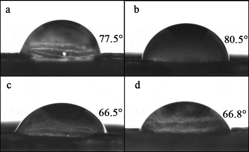 Figure 3. Contact angles between droplets of different applied foliar fertilizer treatments and celery leaves: a. control (pure water); b. BDM (Bordeaux mixture); c. CFF1 (1.0 g L−1 copper-based foliar fertilizer); d. Cu-ZnB1 (1.0 g L−1 copper-based-zinc-boron foliar fertilizer).