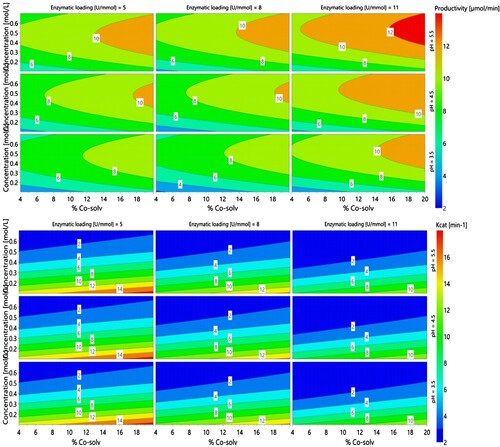 Figure 3. Contour plots for productivity (top) and Kcat.