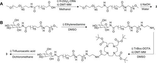 Figure 2 Synthesis of (A) PEG-lipid 2 and (B) DOTA-lipid 3.Abbreviations: DMSO, dimethyl sulfoxide; DOTA, tetraazacyclododecane tetraacetic acid; PEG, polyethylene glycol.