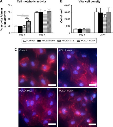 Figure 2 The in vitro assessments of FGM biocompatibility.Notes: (A) Cell metabolic activity measured by the Alamar Blue assay. (B) Vital cell density determined by a DAPI assay. (C) Immunofluorescence images of MSCs seeded on the control and PDLLA nanofiber-coated cell culture dishes after 1 day. F-actin was labeled by rhodamine-conjugated phalloidin (red), and nuclei was labeled by DAPI (blue). Magnification: 400×. Scale bar: 50 μm (*P<0.05, **P<0.01).Abbreviations: DAPI, 4,6-diamidino-2-phenylindole; FGM, functionally graded membrane; MSCs, mesenchymal stem cells; MTZ, metronidazole; PDGF, platelet-derived growth factor; PDLLA, poly(l-lactide-co-d,l-lactide).