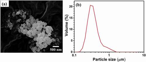 Figure 3. (a) FE–SEM microstructure, and (b) particle-size analysis of Al2O3 AKP–50 powder.