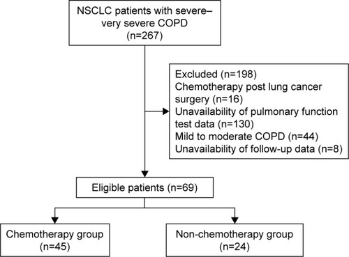 Figure 1 Patient screening and inclusion flow chart.