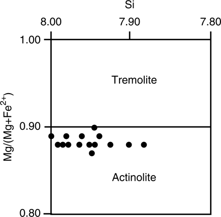 Fig. 3  Actinolite compositions (Table 1) plotted in terms of Si versus Mg/(Mg+Fe2+). Amphibole nomenclature after Leake et al. (Citation1997).
