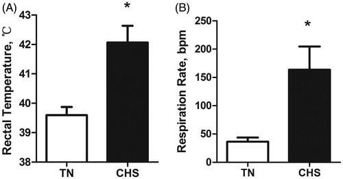 Figure 2. The effects of 7 days of constant thermoneutral conditions (TN) or heat stress conditions (CHS) on (A) rectal temperature and (B) respiration rates. (A) *p < .001, n = 6/treatment; (B) *p < .001, n = 6/treatment.