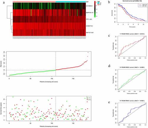 Figure 4. Evaluating the efficacy of the five-lncRNA risk signature in the validation cohort. (a) LncRNA expression profiles, risk score distributions and patient survival in the validation cohort. (b) Survival curves for high-risk and low-risk groups decided by the risk signature in the validation cohort. (c-e) ROC of the five-lncRNA risk signature in predicting the 1-, 3-, and 5-year survival in the validation cohort