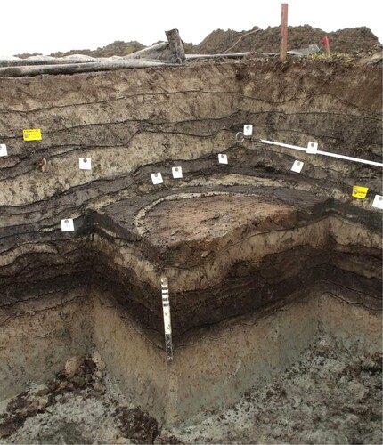 Figure 2. A section through the oldest hearth at Tjerkwerd-Arkum (source: Bakker Citation2019a, Figure 3.3). The feature is located on top of an artificial clay layer that lies on top of the remains of (compressed) peat layers. The hearth is surrounded by a sequence of floor layers. Overlying the hearth were various terp layers belonging to later habitation phases.