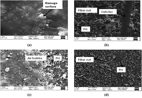 Figure 5. SEM morphology of (a) Sample 1(neat), (b) Sample 2(polyester + fly ash + hair fiber), (c) Sample 3(polyester + rice husk + hair fiber) and (d) Sample 4(polyester + marble dust + hair fiber).